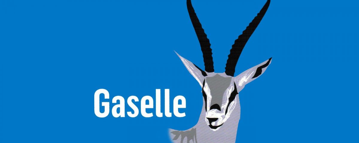 blogg_gaselle_tile-1440×720-1200×480
